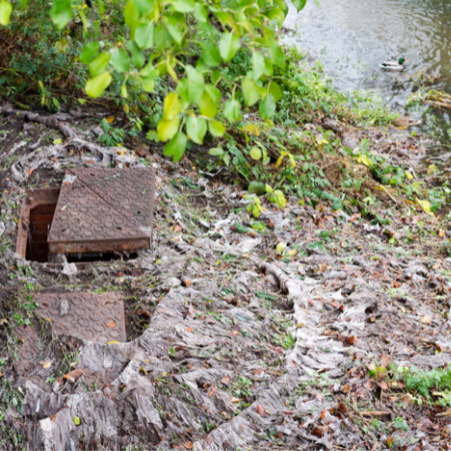 Comment deboucher un debordement d egout bouche 1 