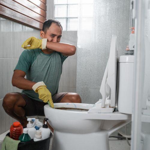 Comment Enlever l'Odeur d'Urine dans les Toilettes