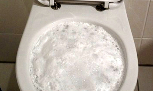 Deboucher les toilettes avec des enzymes bioactives