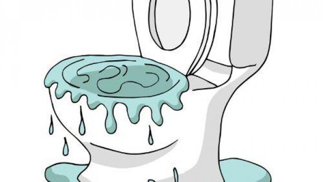 L'eau des toilettes remonte : causes et solutions pour y remédier